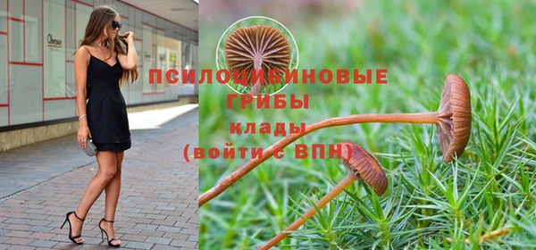 гидропоника Балабаново