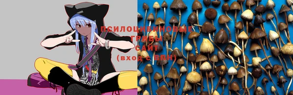 гидропоника Балабаново